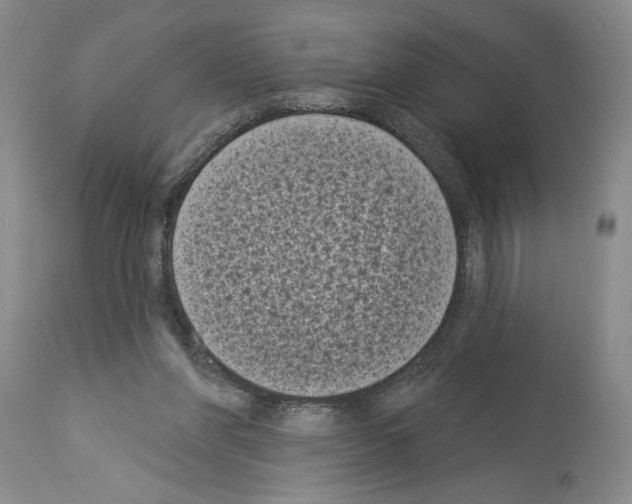 X0000113940206200911061249