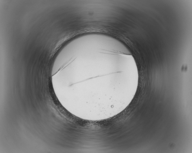 X0000113940207200911061249