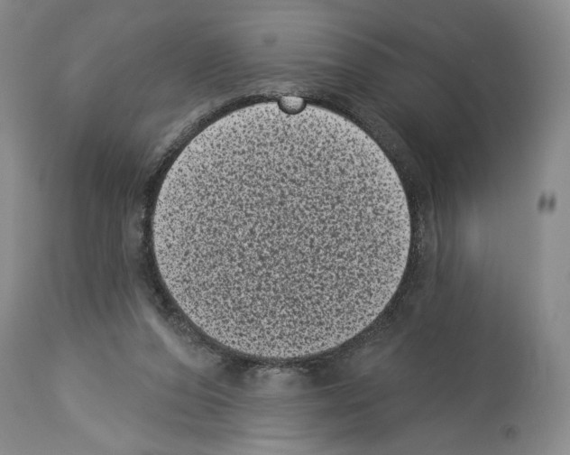 X0000113940208200911061249