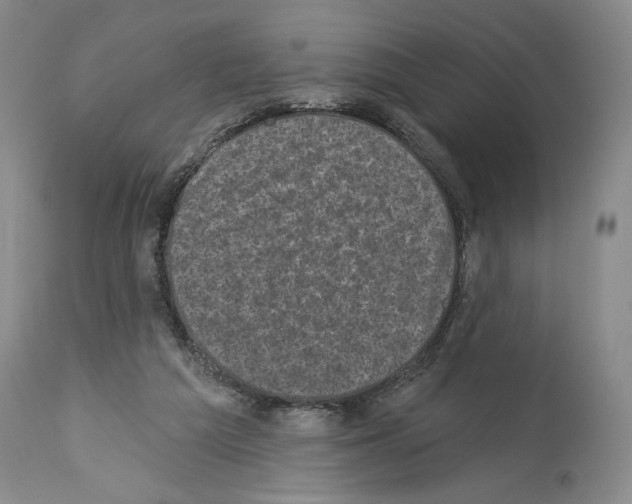 X0000113940209200911061249