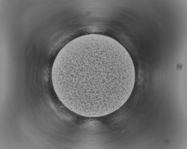 X0000113940210200911061249