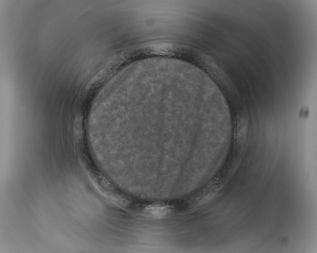 X0000113940213200911061248
