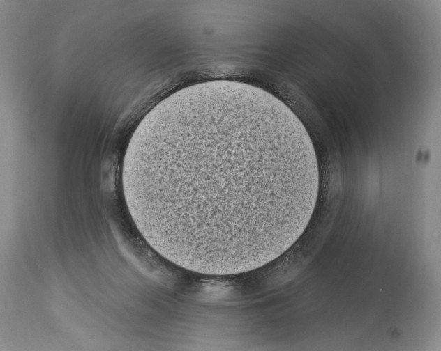 X0000113940214200911061248