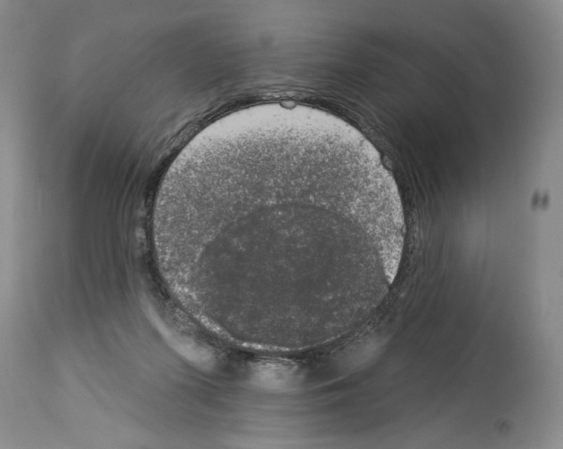 X0000113940215200911061248
