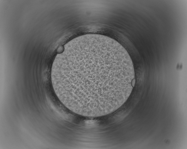 X0000113940216200911061248