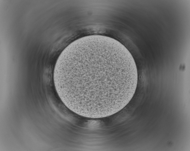 X0000113940218200911061248
