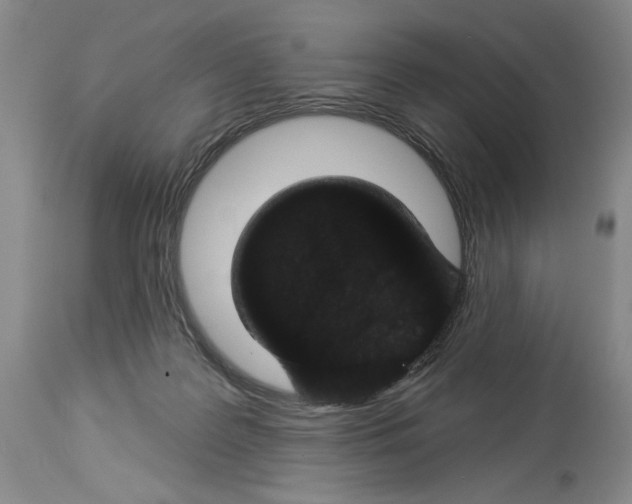 X0000113940219200911061248