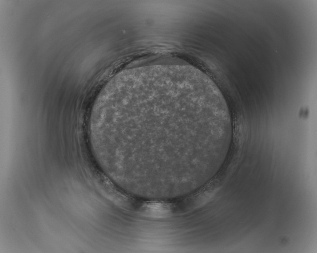 X0000113940221200911061248