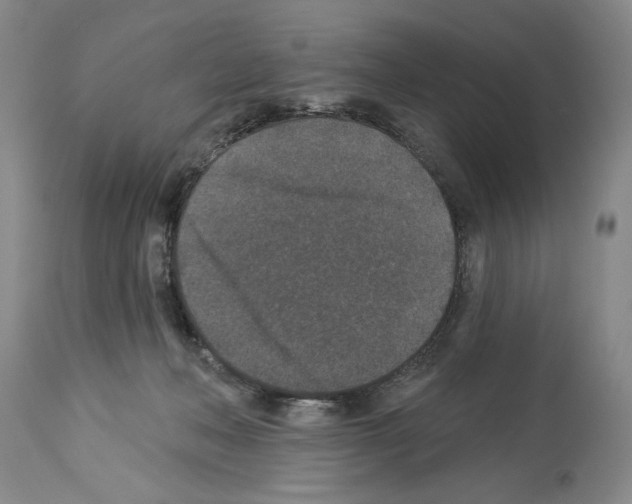 X0000113940222200911061248