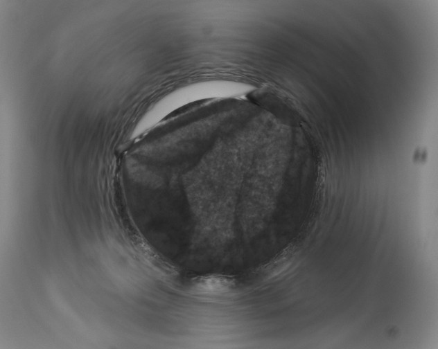 X0000113940223200911061248