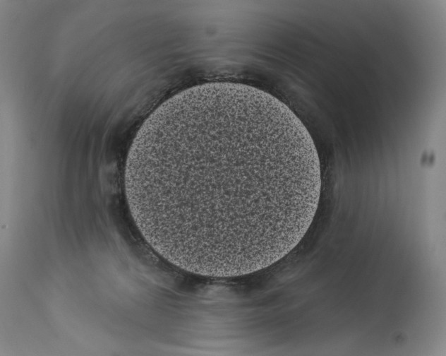 X0000113940224200911061248