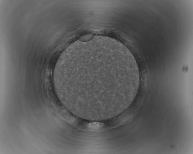X0000113940225200911061248