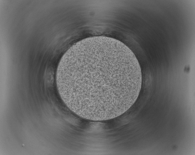 X0000113940226200911061248