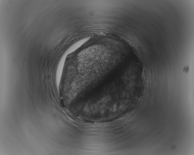 X0000113940227200911061248