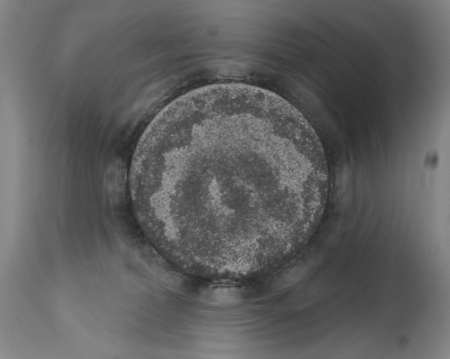 X0000113940228200911061248