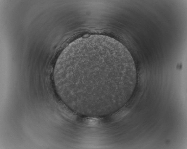 X0000113940229200911061248