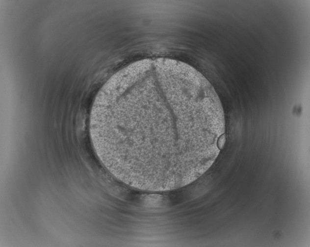 X0000113940230200911061248