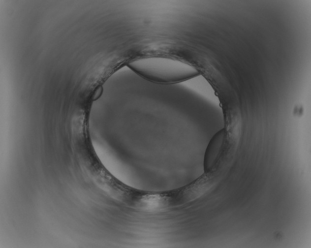X0000113940231200911061248