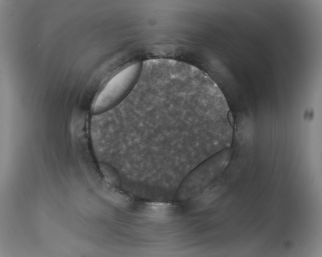 X0000113940233200911061248