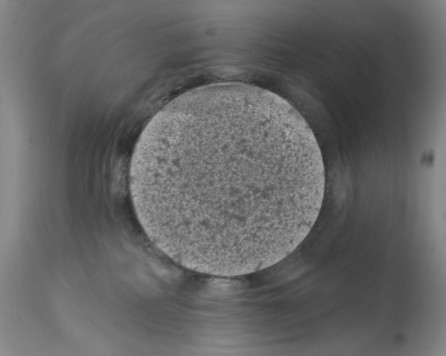 X0000113940234200911061248