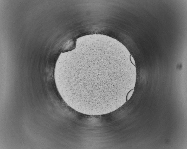 X0000113940236200911061248
