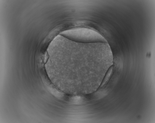 X0000113940237200911061248