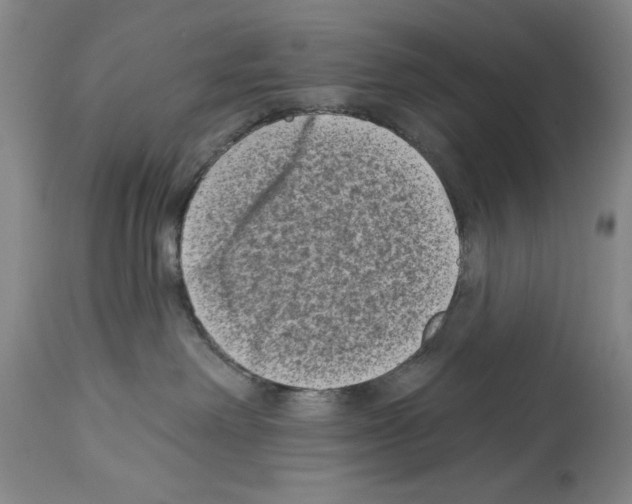 X0000113940238200911061248