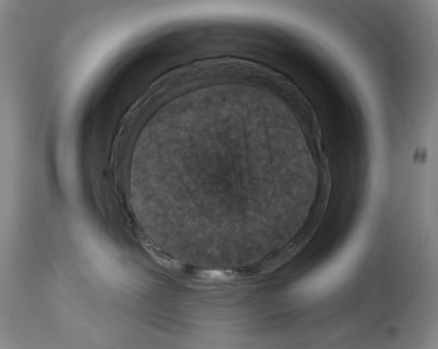 X0000113940239200911061248