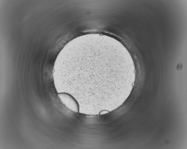 X0000113940240200911061248