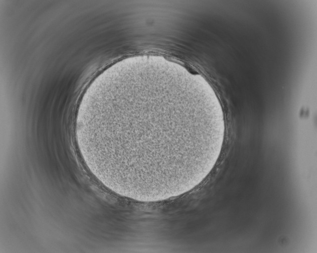 X0000113940241200911061247