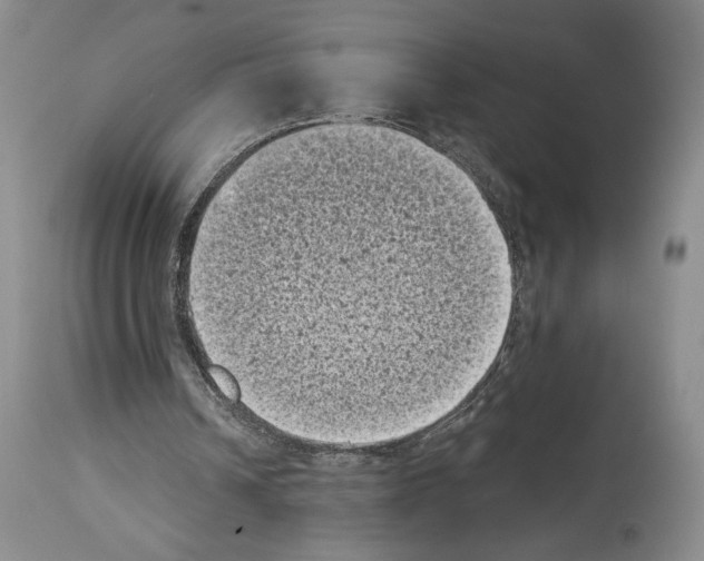 X0000113940242200911061247