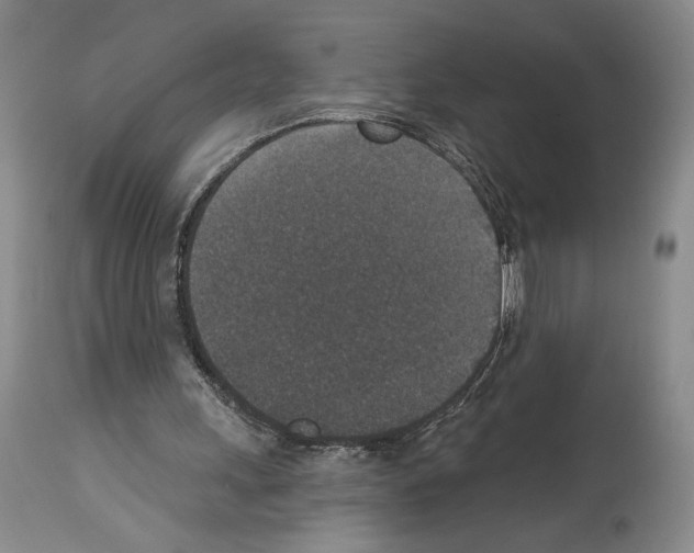 X0000113940243200911061247