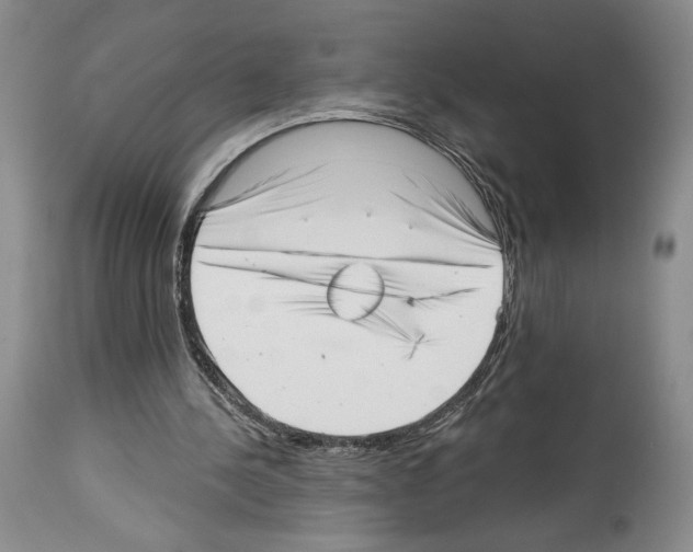 X0000113940244200911061247