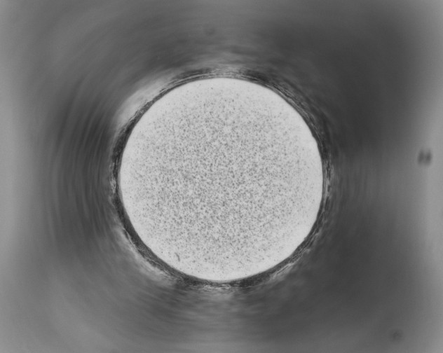 X0000113940245200911061247