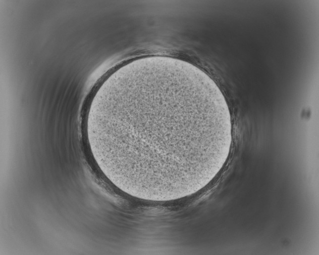 X0000113940246200911061248
