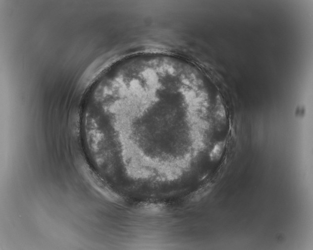 X0000113940247200911061248