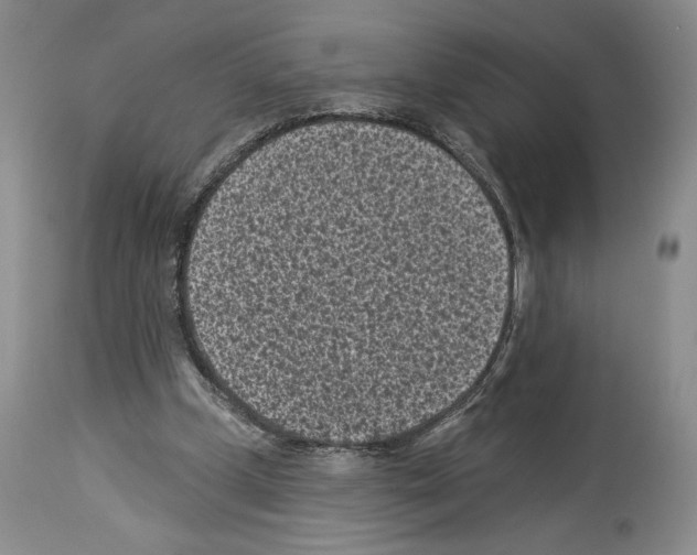 X0000113940249200911061248