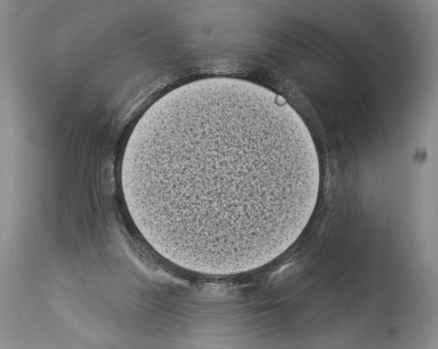 X0000113940251200911061248