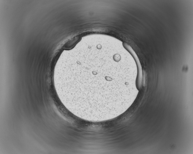 X0000113940252200911061248