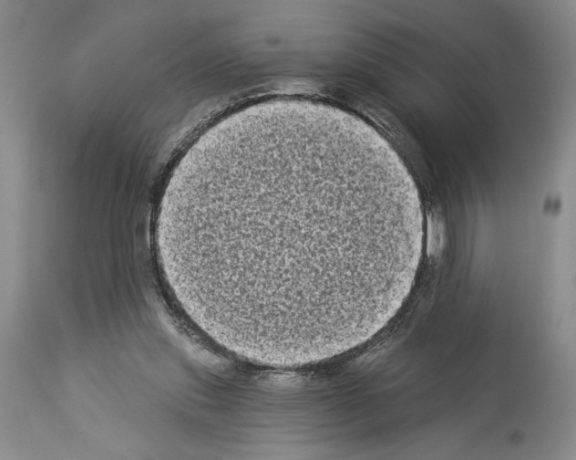 X0000113940253200911061248