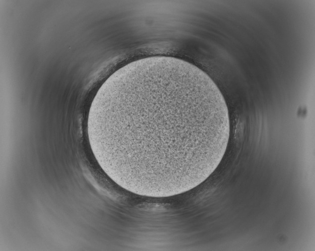 X0000113940254200911061248