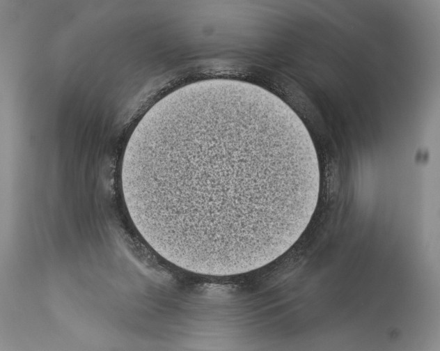 X0000113940255200911061248