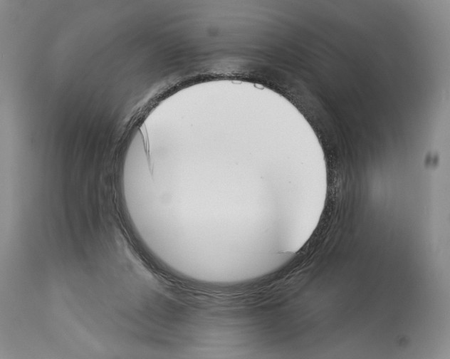 X0000113940256200911061248