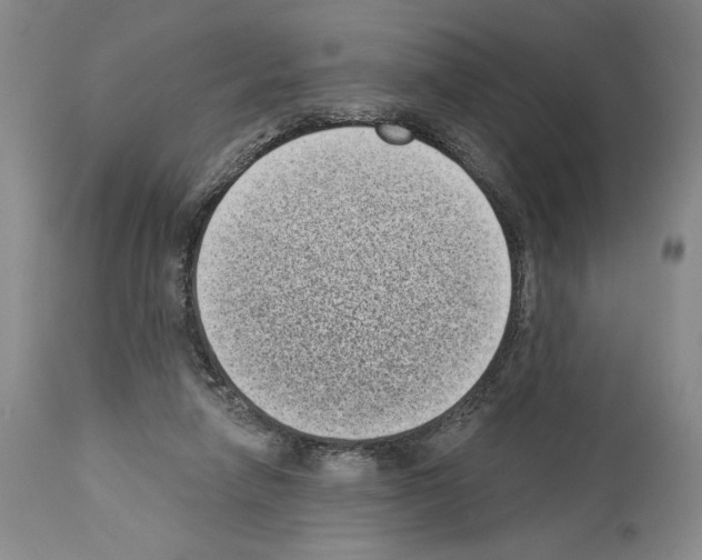 X0000113940258200911061248