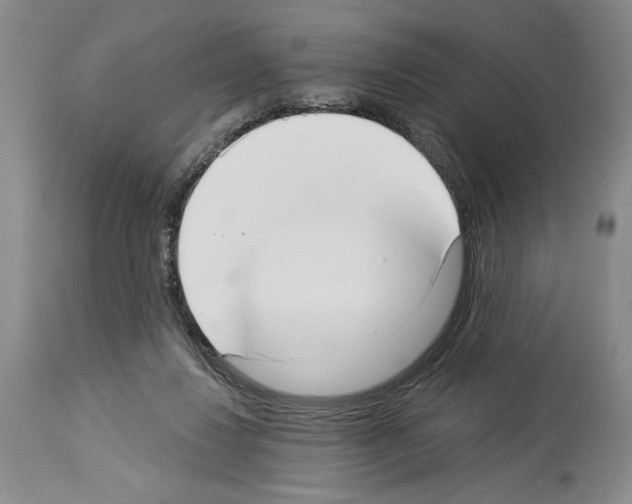 X0000113940260200911061248