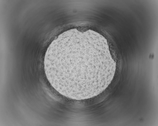 X0000113940261200911061248