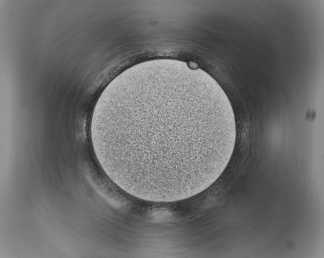 X0000113940262200911061248