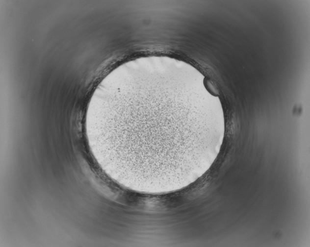 X0000113940264200911061248