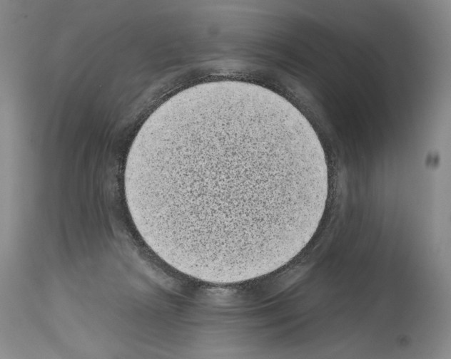 X0000113940265200911061248