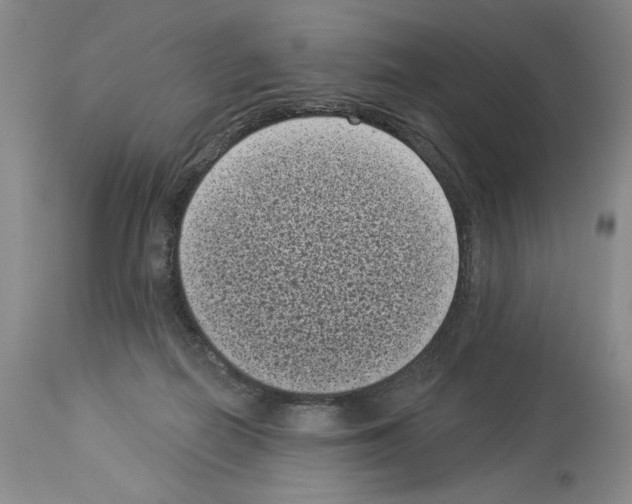 X0000113940266200911061248